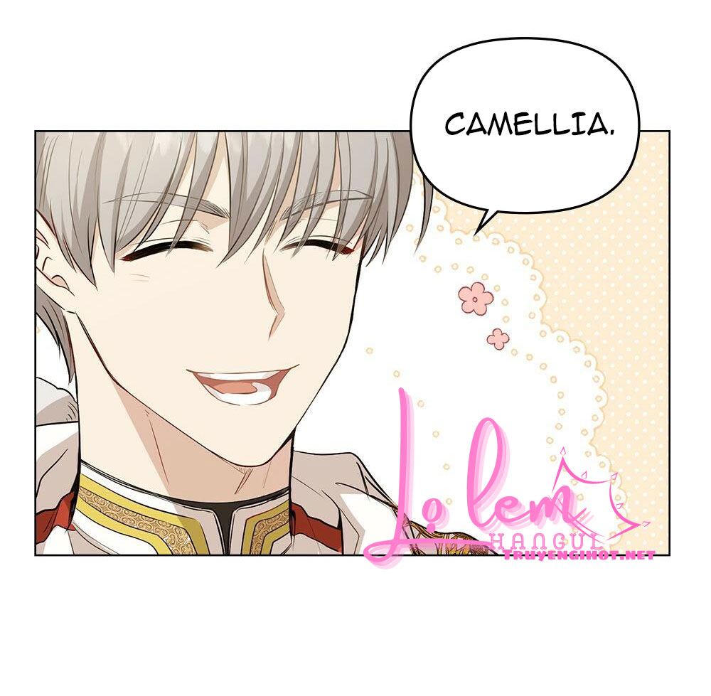 Đi Tìm Nàng Camellia