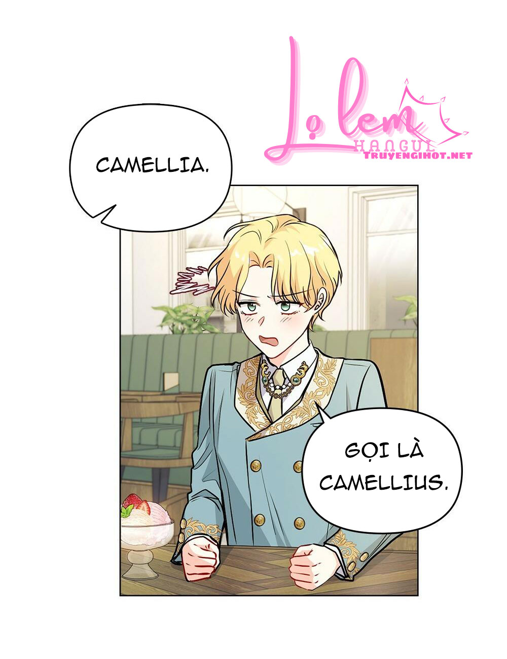 Đi Tìm Nàng Camellia