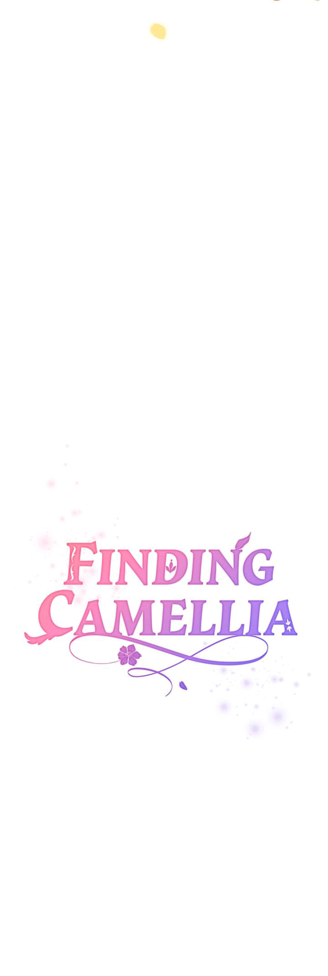 Tìm Kiếm Camellas